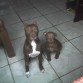 choco 2meses y ryhana 5 meses